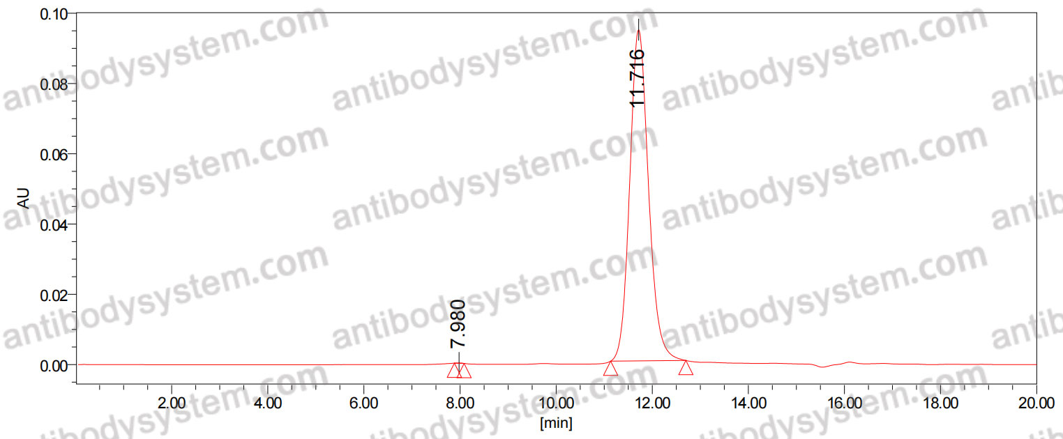 Anti-Human CD240D/RHD Antibody (SAA0076)