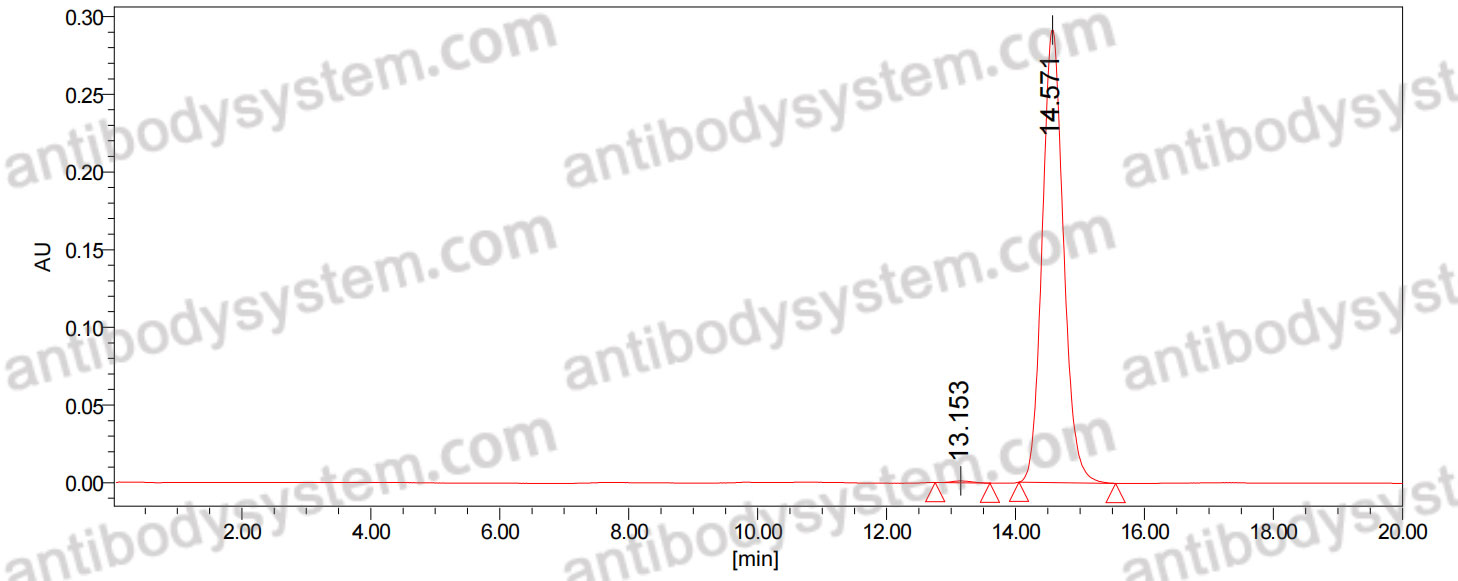 Anti-Human FAP Antibody (SAA0473)