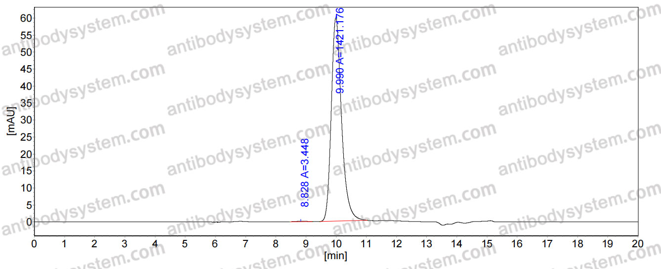 Anti-Human MSLN/Mesothelin Antibody (SS1)