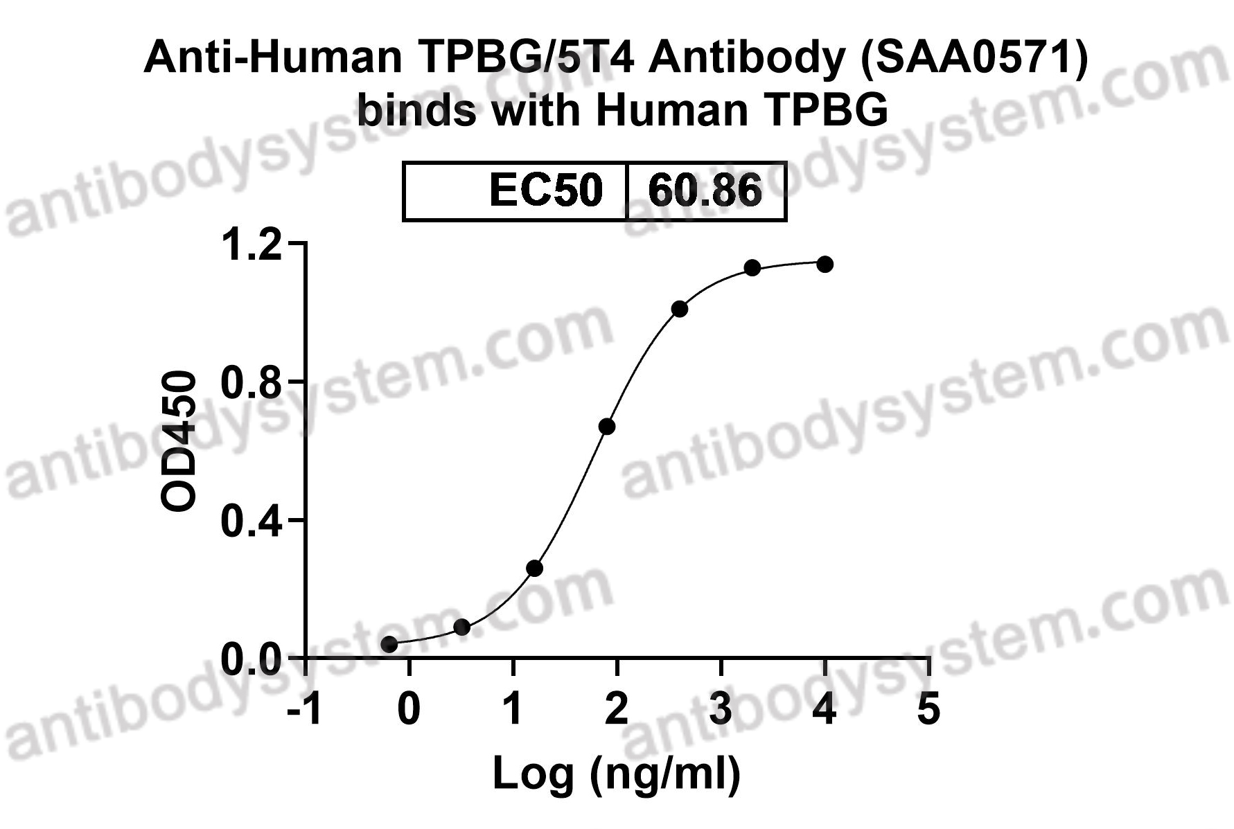 Anti-Human TPBG/5T4 Antibody (SAA0571)