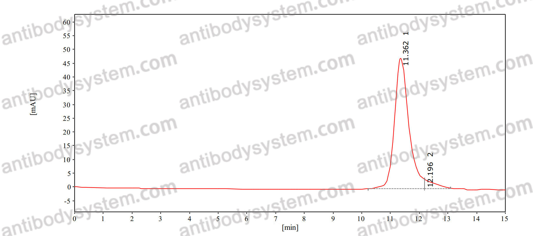 Anti-Human CALCRL Antibody (SAA0150)