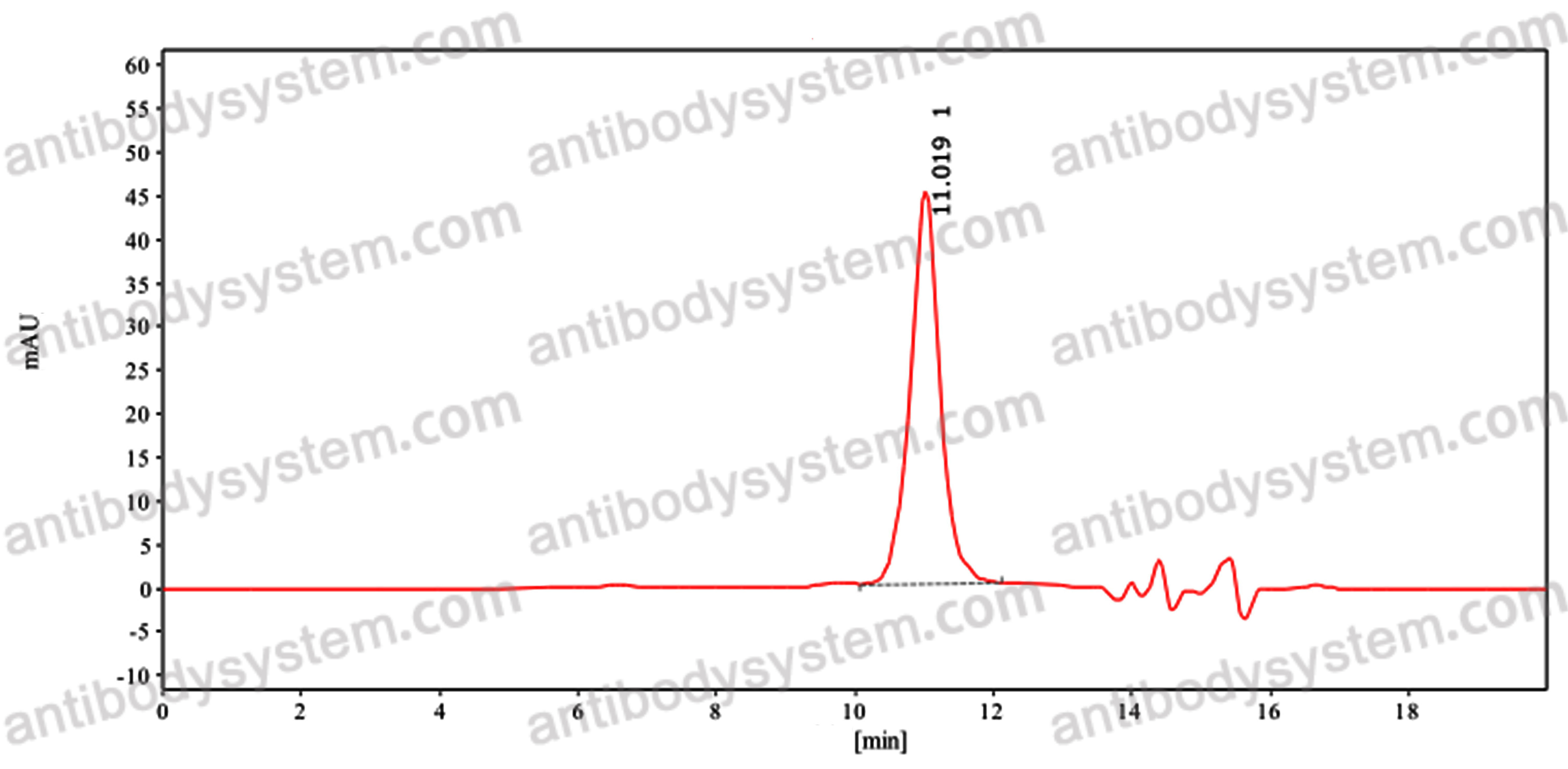 Anti-Human TrkB /NTRK2 Antibody (SAA0477)