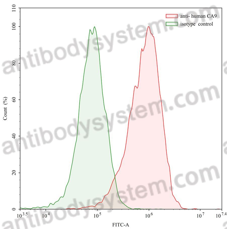 Anti-Human CA9 Antibody (SAA0152)