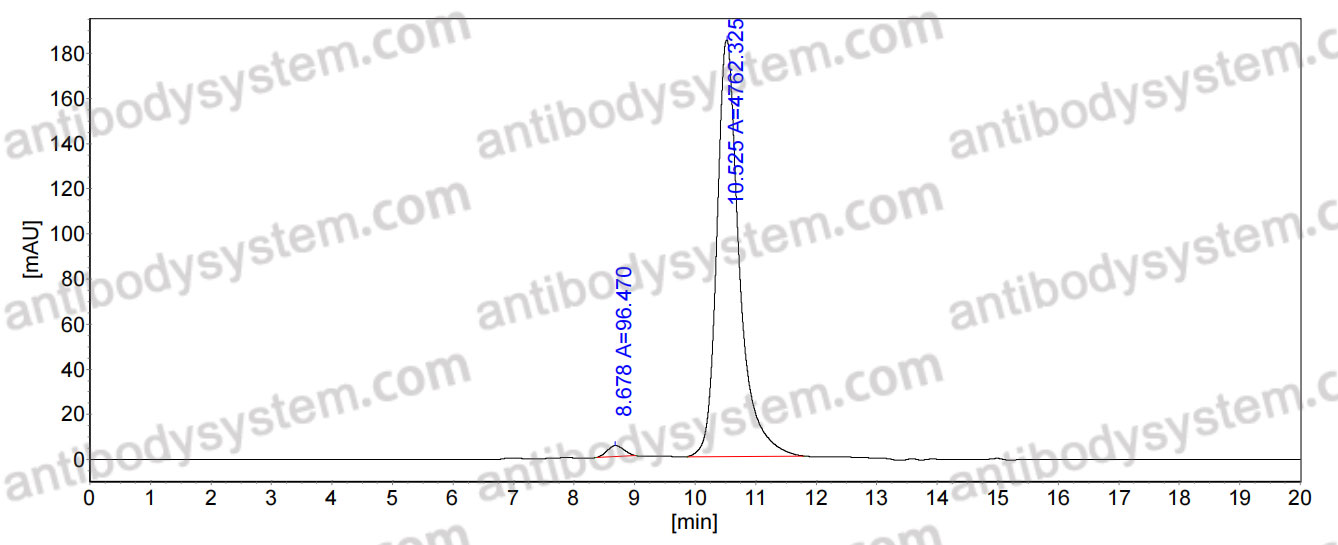Anti-Human KLB/Beta-klotho Antibody (SAA0157)