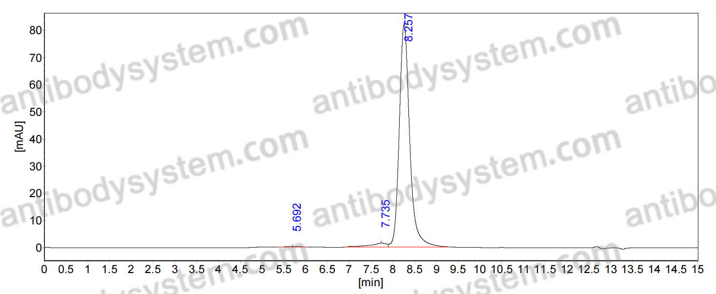 Anti-Human ACE2 Antibody (11B11)