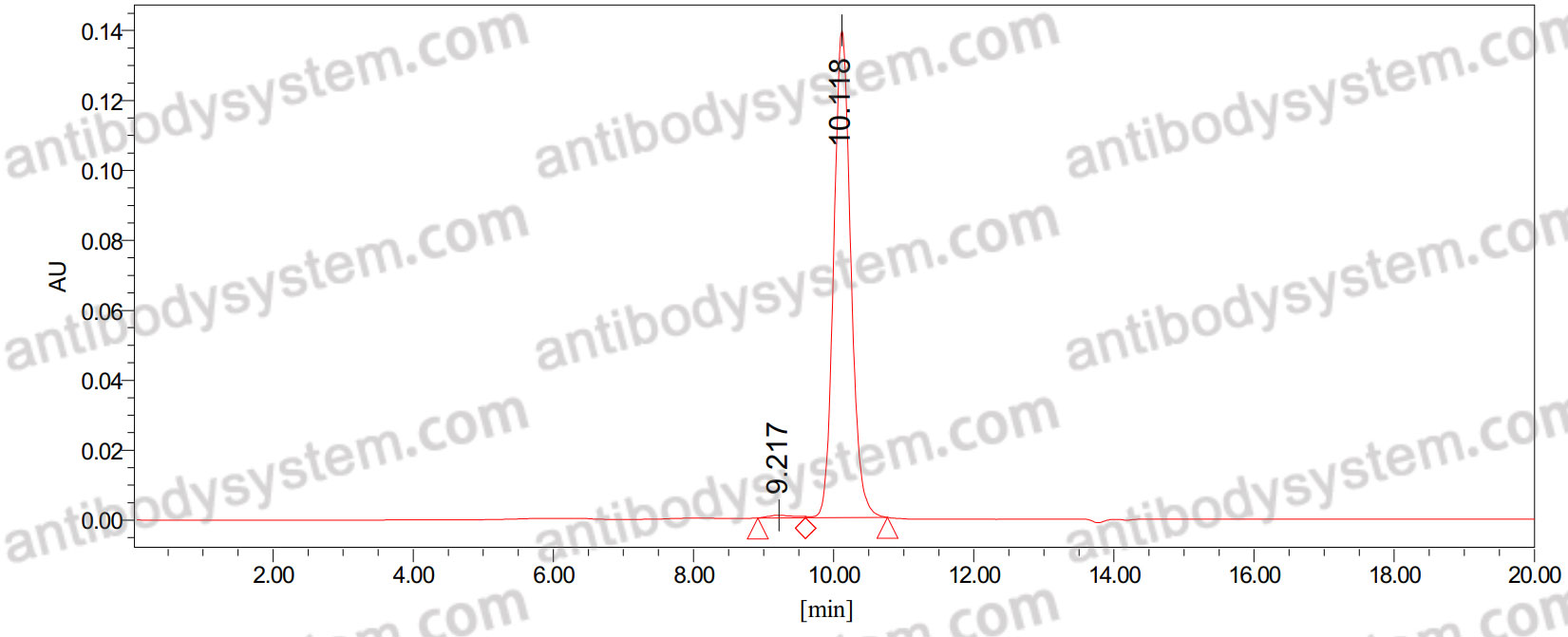 Anti-sLea/CA19-9 Antibody (1116NS19.9)