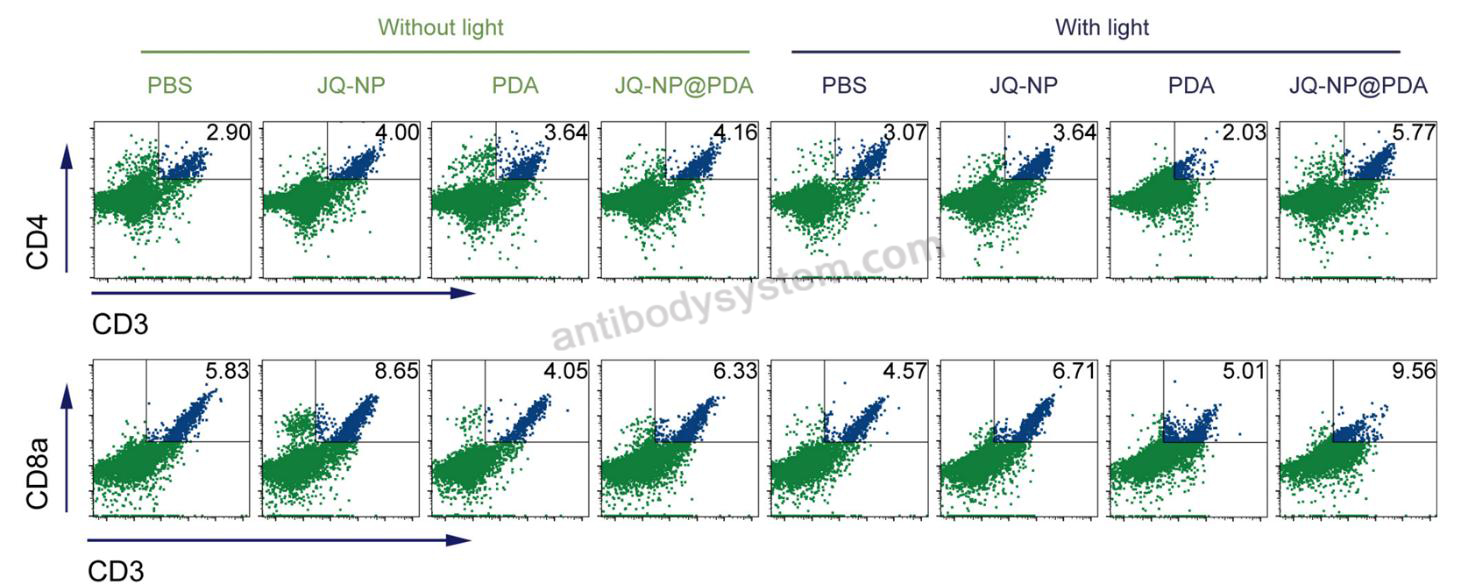 Anti-Mouse CD4 Antibody (GK1.5), APC
