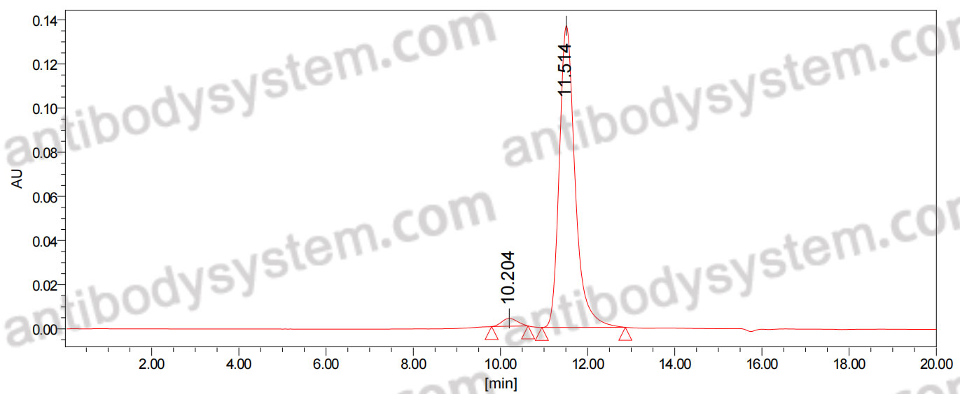Anti-Mouse CD51/ITGAV & ITGB6 Antibody (7.1G10)