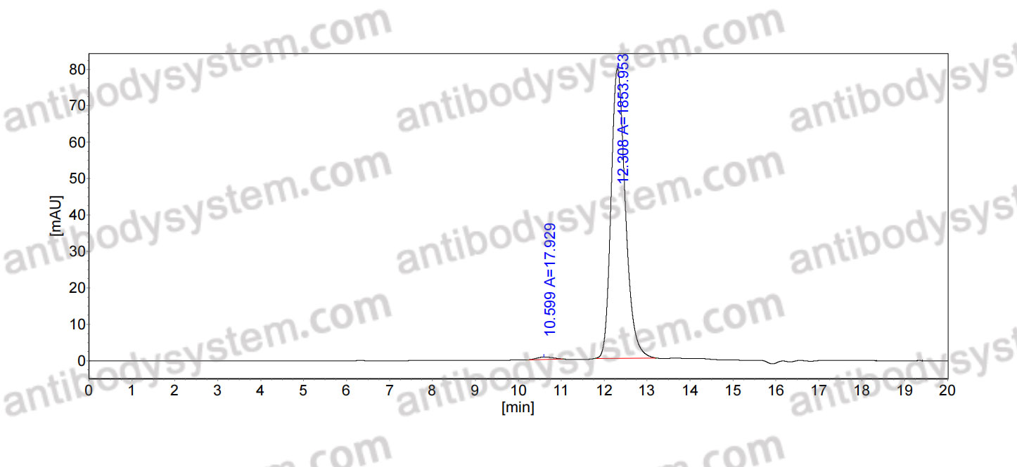 Anti-Mouse CD3E Antibody (145-2C11)