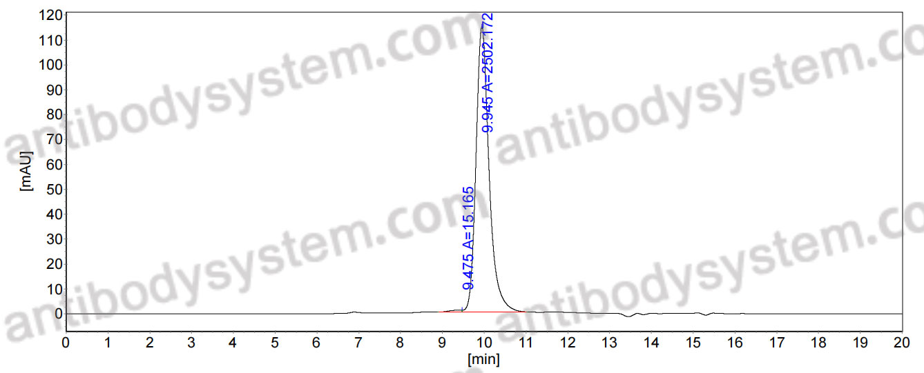 Anti-Mouse CD140a/PDGFRA Antibody (2.451.1.1b#)