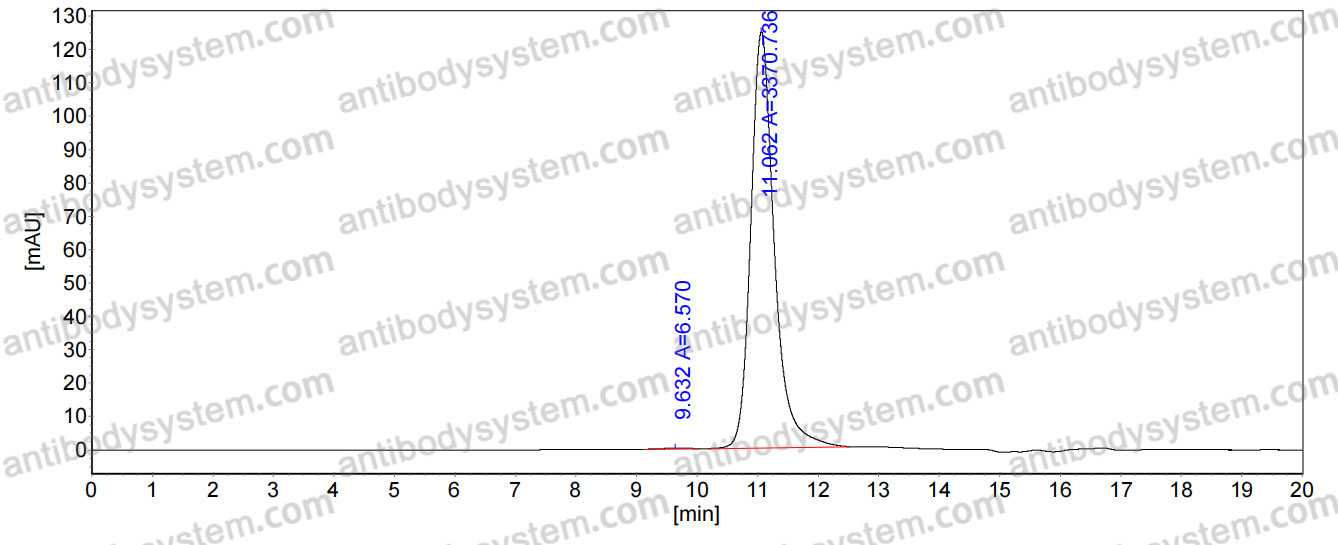 Anti-Mouse NKG2D Antibody (MI-6)