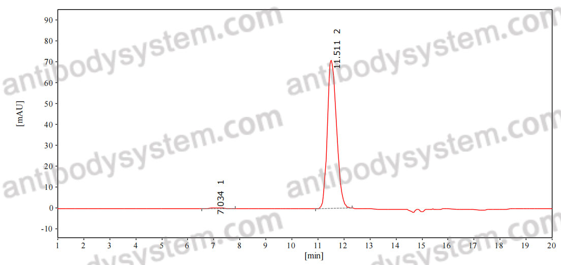 Anti-Mouse CD309/KDR/VEGFR-2 Antibody (DC101)