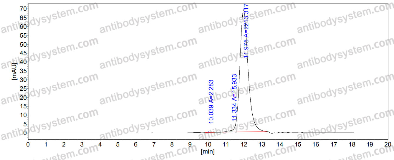 Anti-Mouse CD276/B7-H3 Antibody (m276)