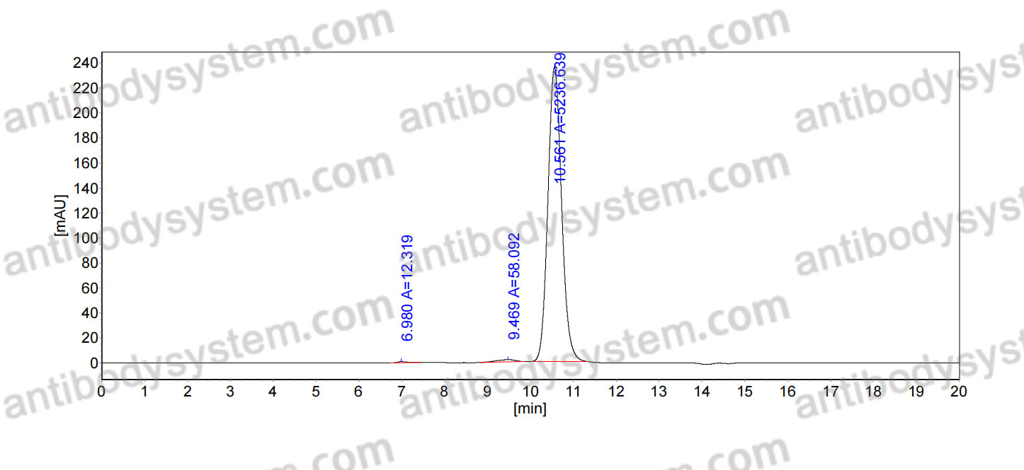 SEC-HPLC for Mouse IgG1 Isotype Control Antibody (HyHEL-10) ?>