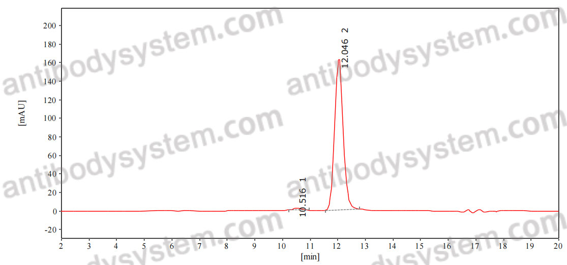 Purified Mouse Anti-Mouse CD16/CD32 (Mouse AS Fc Block™) (2.4G2)