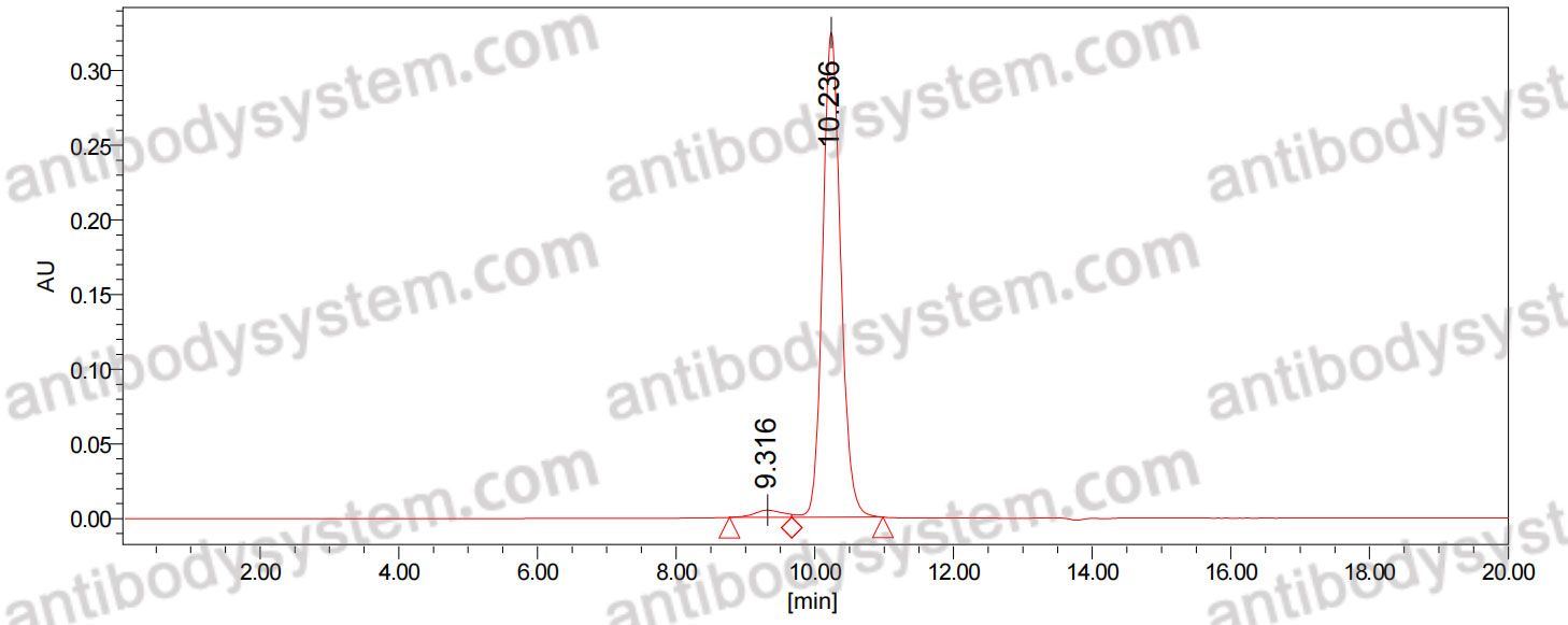 Anti-Dog CD152/CTLA4 Antibody (SAA0845)
