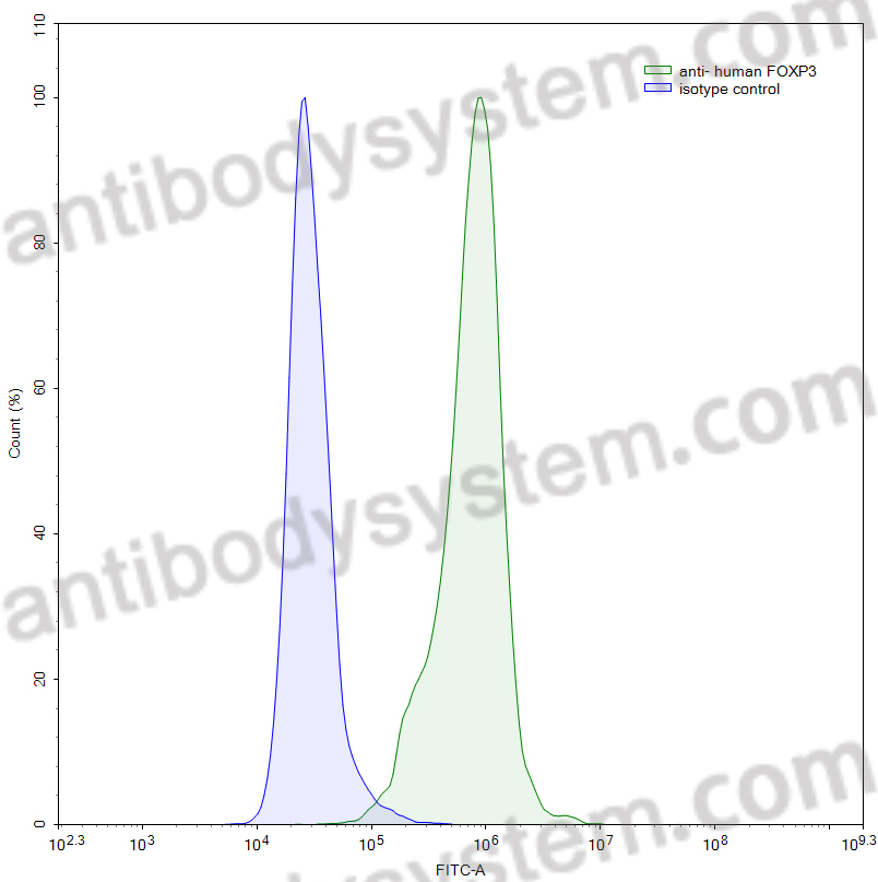 Anti-Human FOXP3 Monoclonal Antibody (1A209)