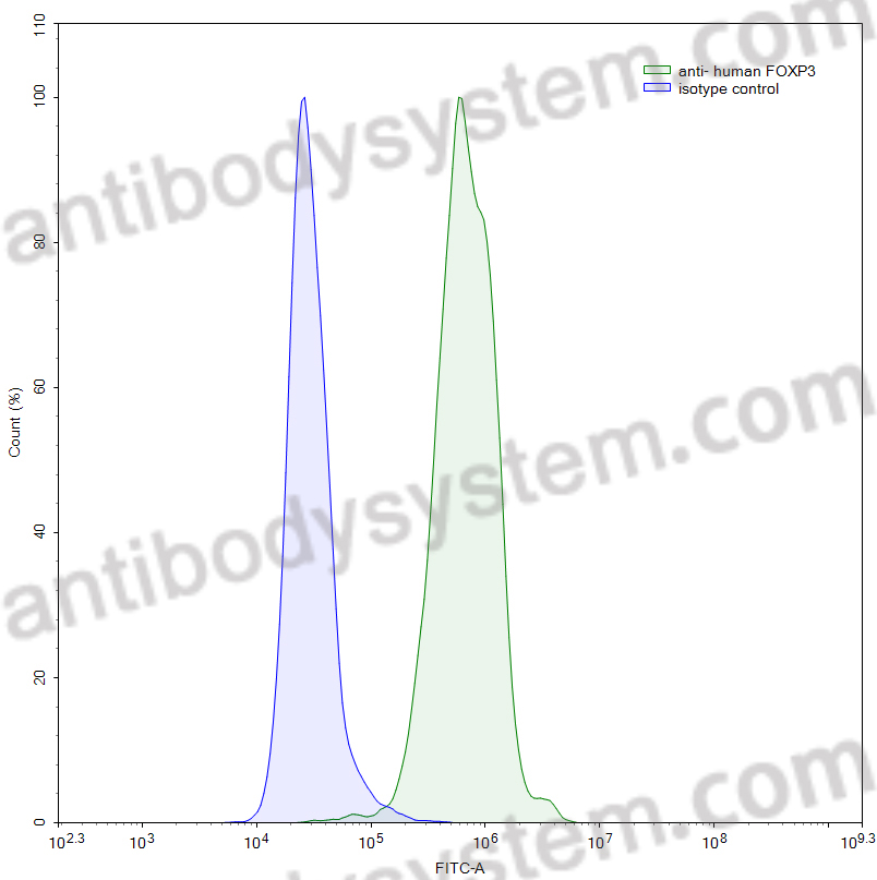 Anti-Human FOXP3 Monoclonal Antibody (1A210)