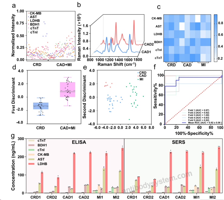 Bioactivity for Anti-Human TNNT2 Polyclonal Antibody ?>
