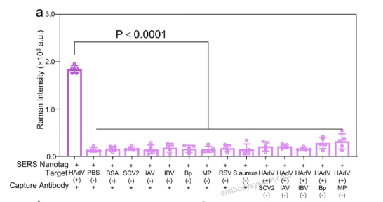SERS for Anti-HAdV-5 L3/CP-H/Protein II Polyclonal Antibody ?>