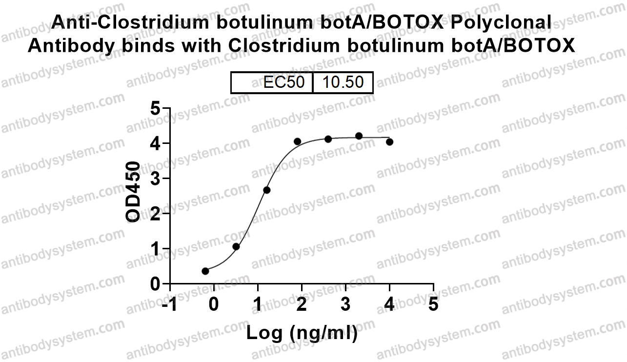 Anti-Clostridium botulinum botA/BOTOX Polyclonal Antibody