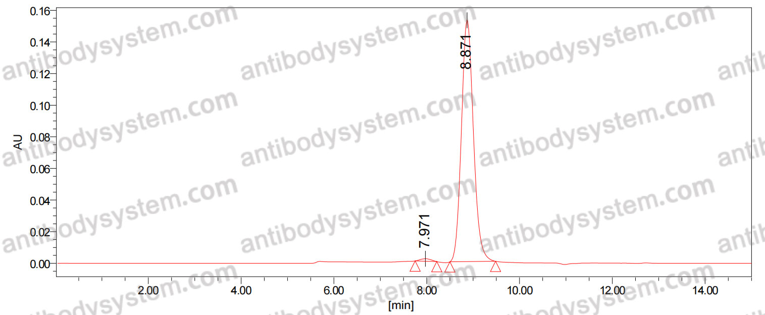 Anti-Omalizumab Antibody (SAb2319)