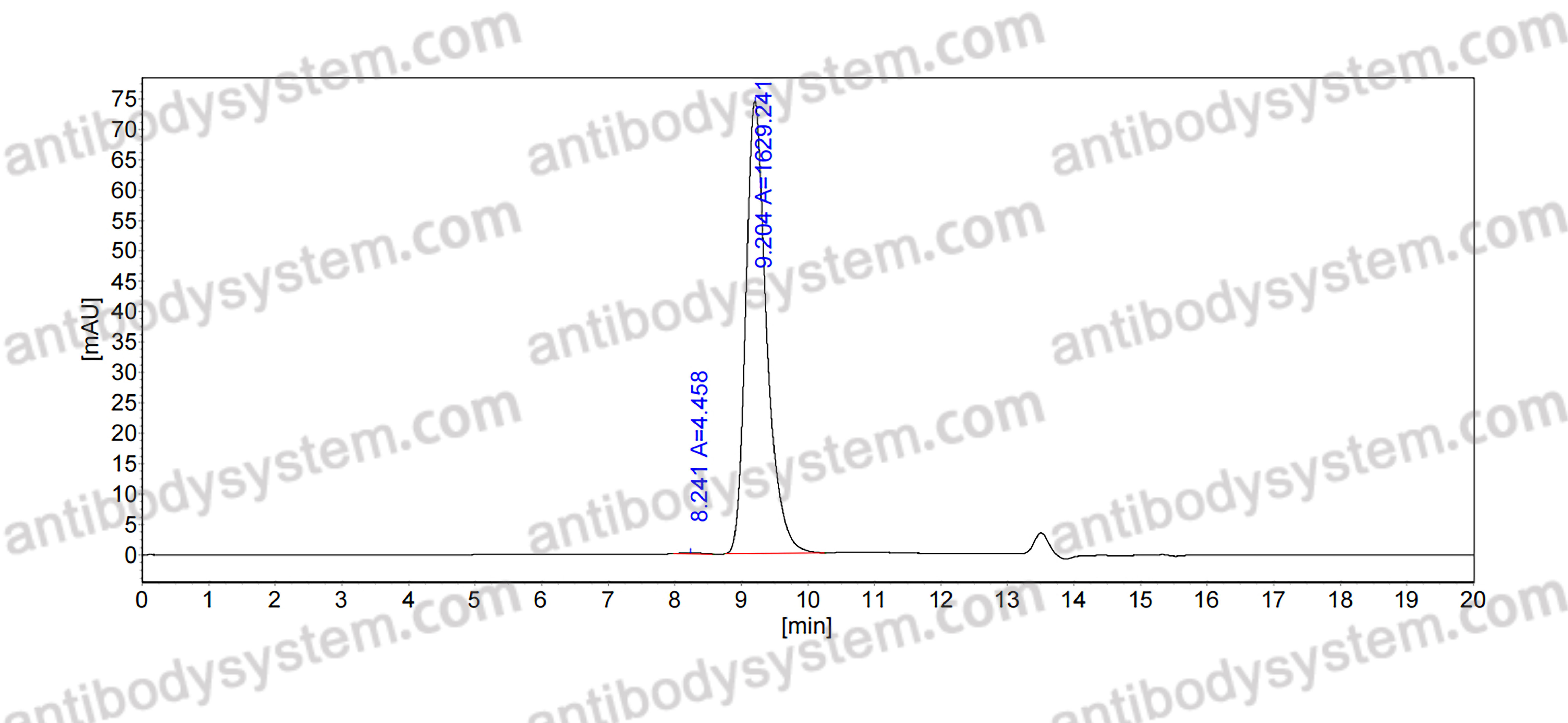 Anti-dsDNA/ssDNA Antibody (4B2)