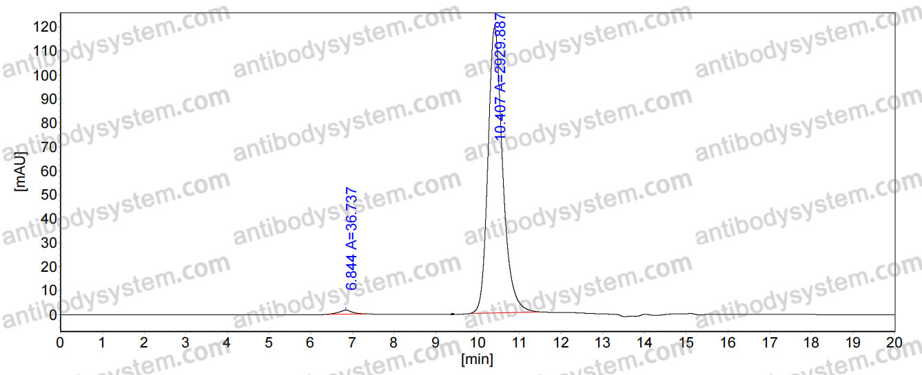 Anti-PEG Antibody (32D6)