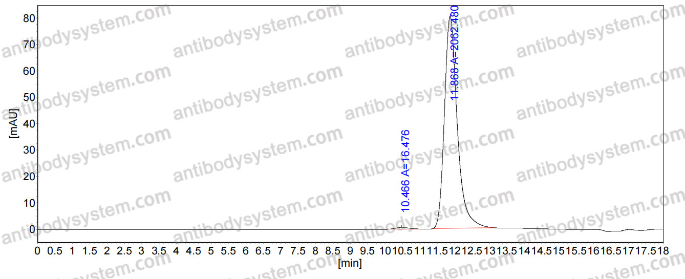 Anti-PEG Antibody (AGP3)