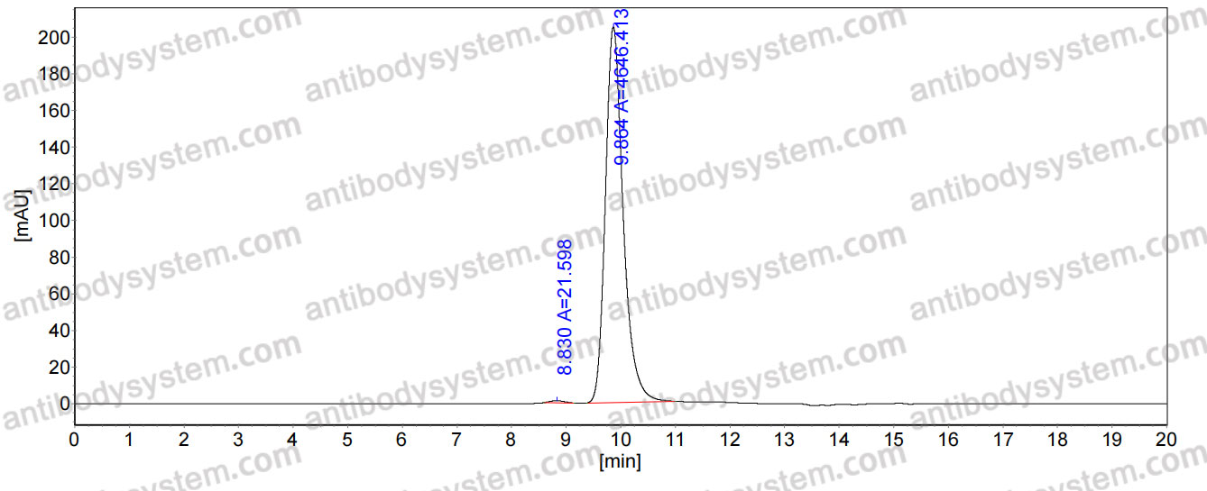 Anti-PEG Antibody (SAA2079)