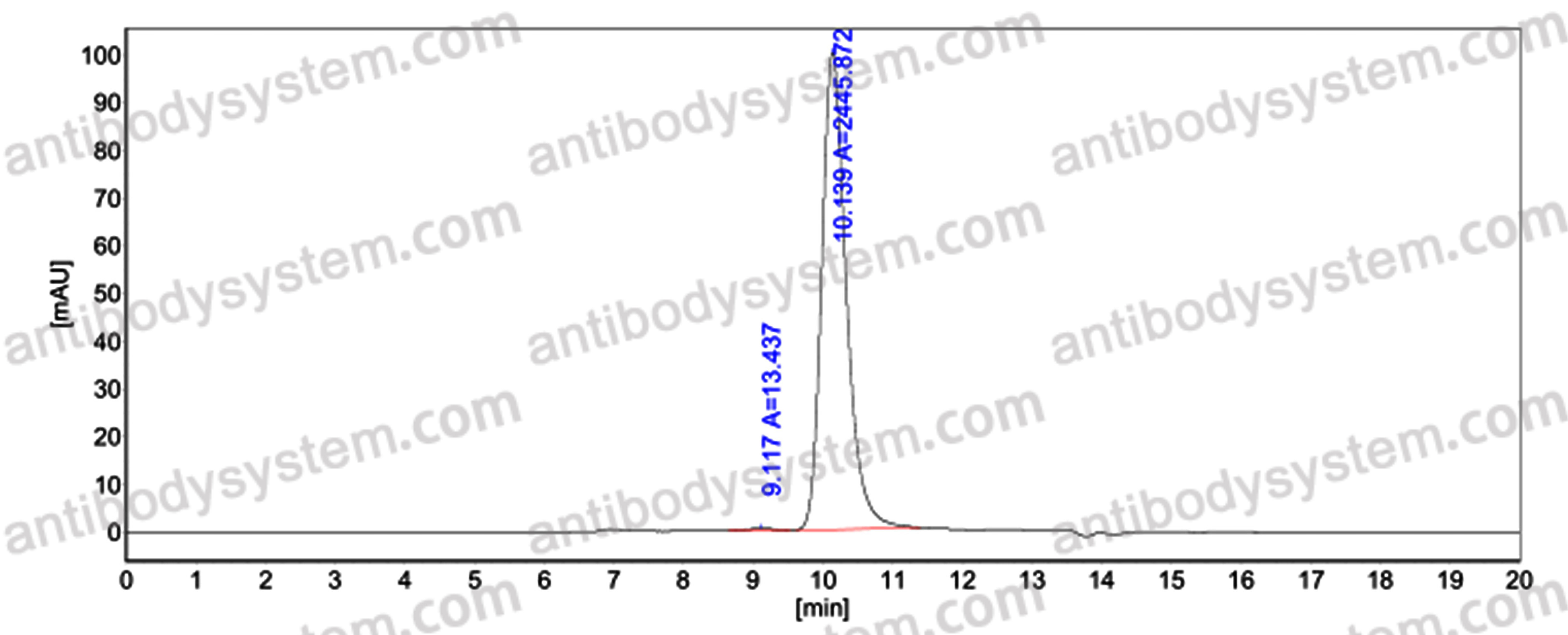 Anti-dsRNA Antibody (J2)