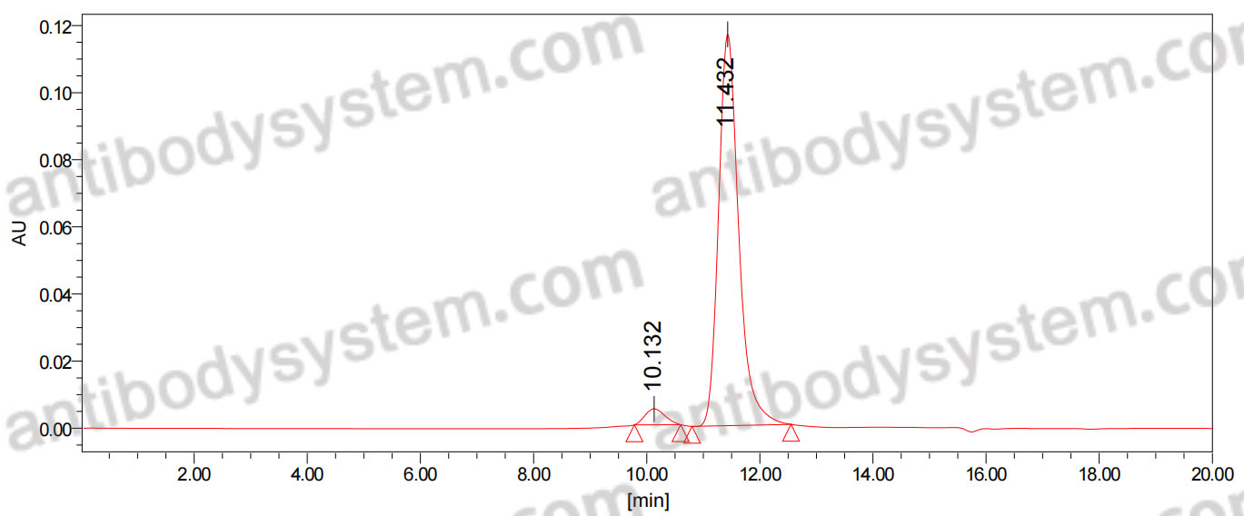 Anti-α-Gal Epitope (Galα1-3Galβ1-4GlcNAc-R) Antibody (M86)