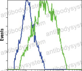 Anti-GFP Tag Antibody (R3Y69)