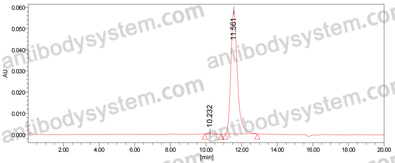 Anti-Softag1 Tag (SLAELLNAGLGGS) Antibody (NT73)