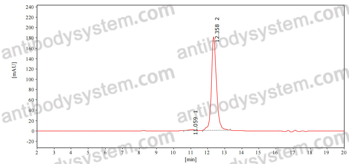 Anti-Ganglioside GM1 Antibody (WO1)