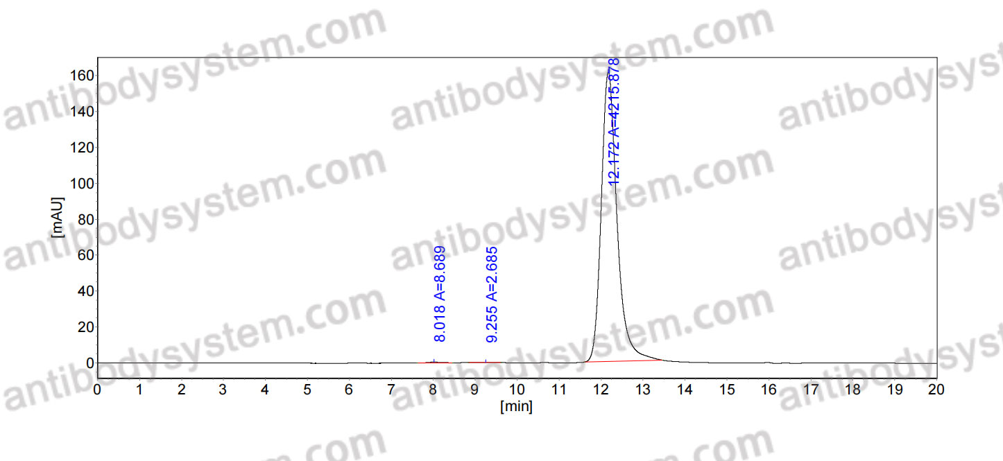 Anti-Pan-pY/pTyr/Phosphotyrosine Antibody (PY20)