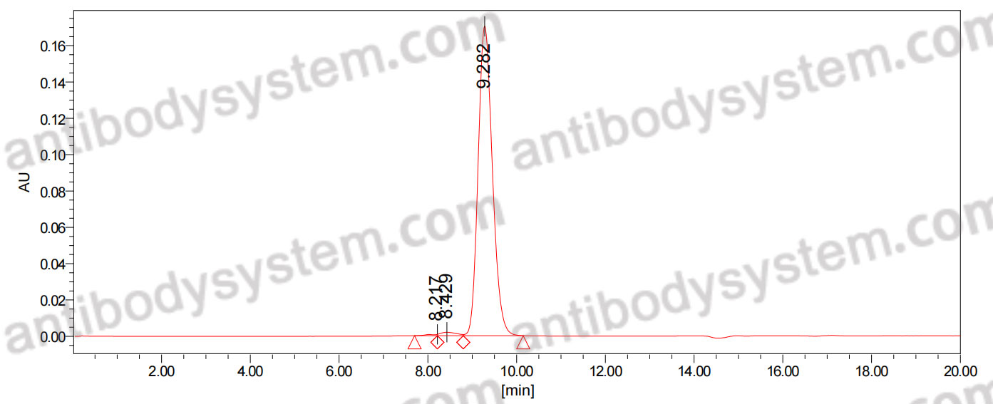 Anti-Oxidized Phospholipid Antibody (E06)