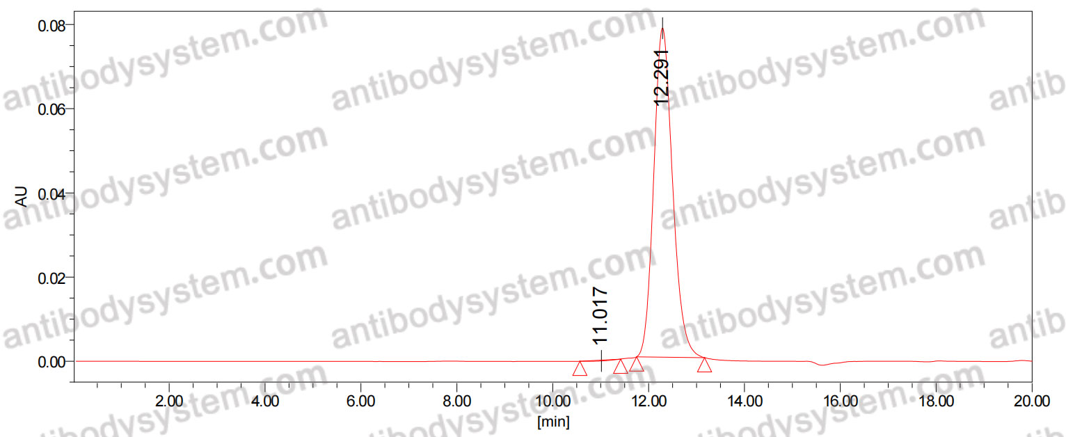 Anti-Aspergillus Galactomannan Antibody (SAb2309)