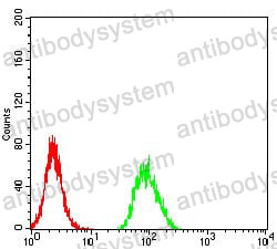 Anti-RBFOX3 Antibody (R2T17)
