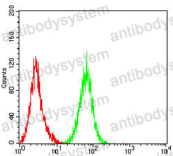 Anti-KCNK1 Antibody (R2T22)