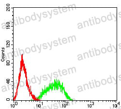 Anti-RAB27B Antibody (R2T23)