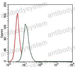Anti-HAS3 Antibody (R2T25)
