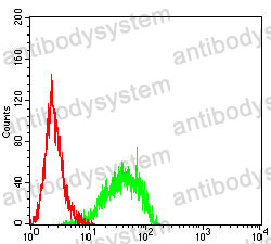 Anti-CD172b/SIRPB1 Antibody (R2T30)
