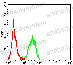 Anti-CD172b/SIRPB1 Antibody (R2T29)