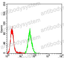 Anti-CBX4 Antibody (R2T32)