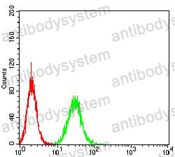 Anti-PGRMC1 Antibody (R2T34)
