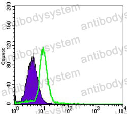 Anti-TNFRSF11B Antibody (R2T37)