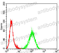 Anti-CCRL2 Antibody (R2T76)