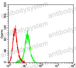 Anti-IGF2BP3 Antibody (R2T46)