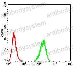 Anti-BIN1 Antibody (R2T52)
